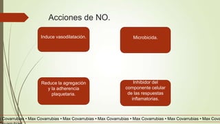 Acciones de NO.
Microbicida.Induce vasodilatación.
Inhibidor del
componente celular
de las respuestas
inflamatorias.
Reduce la agregación
y la adherencia
plaquetaria.
x Covarrubias • Max Covarrubias • Max Covarrubias • Max Covarrubias • Max Covarrubias • Max Covarrubias • Max Cova
 