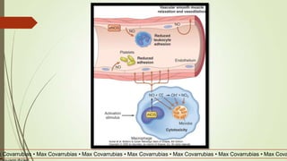 x Covarrubias • Max Covarrubias • Max Covarrubias • Max Covarrubias • Max Covarrubias • Max Covarrubias • Max Cova
 