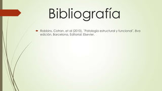 Bibliografía
 Robbins, Cotran, et al (2010), ¨Patología estructural y funcional¨, 8va
edición, Barcelona, Editorial: Elsevier.
 