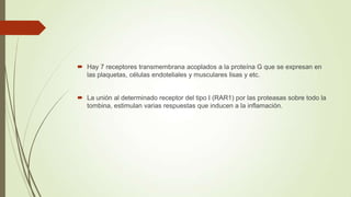  Hay 7 receptores transmembrana acoplados a la proteína G que se expresan en
las plaquetas, células endoteliales y musculares lisas y etc.
 La unión al determinado receptor del tipo I (RAR1) por las proteasas sobre todo la
tombina, estimulan varias respuestas que inducen a la inflamación.
 