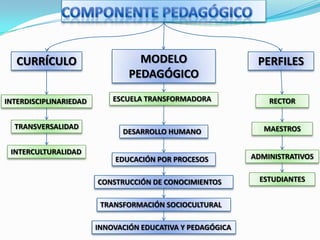 CURRÍCULO                      MODELO                     PERFILES
                                PEDAGÓGICO

INTERDISCIPLINARIEDAD       ESCUELA TRANSFORMADORA              RECTOR


  TRANSVERSALIDAD                                              MAESTROS
                              DESARROLLO HUMANO

 INTERCULTURALIDAD
                            EDUCACIÓN POR PROCESOS          ADMINISTRATIVOS


                        CONSTRUCCIÓN DE CONOCIMIENTOS         ESTUDIANTES


                         TRANSFORMACIÓN SOCIOCULTURAL

                        INNOVACIÓN EDUCATIVA Y PEDAGÓGICA
 