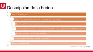 Descripción de la herida
Tipo de herida: pie diabético.
Etiología: de forma accidental, inserción de clavo en zona plantar (5 o 4to metatarso)
Duración de la herida: tres semanas de evolución.
Tratamientos anteriores: curaciones en el medio particular con isodine y agua oxigenada, Dicloxacilina 500mg cada 12 horas.
Tamaño: Longitud-20cm. Ancho-7cm-4cm. Profundidad-3 cm.
Ubicación de la herida: dorso del pie (empeine) y zona plantar.
Nivel del dolor: escala de EVA-8
 