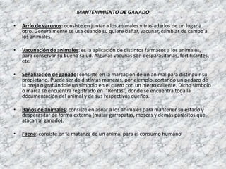 MANTENIMIENTO DE GANADOArrío de vacunos: consiste en juntar a los animales y trasladarlos de un lugar a otro. Generalmente se usa cuando su quiere bañar, vacunar, cambiar de campo a los animales.Vacunación de animales: es la aplicación de distintos fármacos a los animales, para conservar su buena salud. Algunas vacunas son desparasitarías, fortificantes, etc.Señalización de ganado: consiste en la marcación de un animal para distinguir su propietario. Puede ser de distintas maneras, por ejemplo, cortando un pedazo de la oreja o grabándole un símbolo en el cuero con un hierro caliente. Dicho símbolo o marca se encuentra registrado en  “Rentas”, donde se encuentra toda la documentación del animal y de sus respectivos dueños.Baños de animales: consiste en asear a los animales para mantener su estado y desparasitar de forma externa (matar garrapatas, moscas y demás parásitos que atacan al ganado).Faena: consiste en la matanza de un animal para el consumo humano