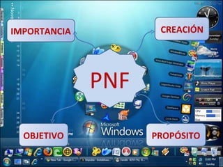PNF CREACIÓN PROPÓSITO OBJETIVO IMPORTANCIA 