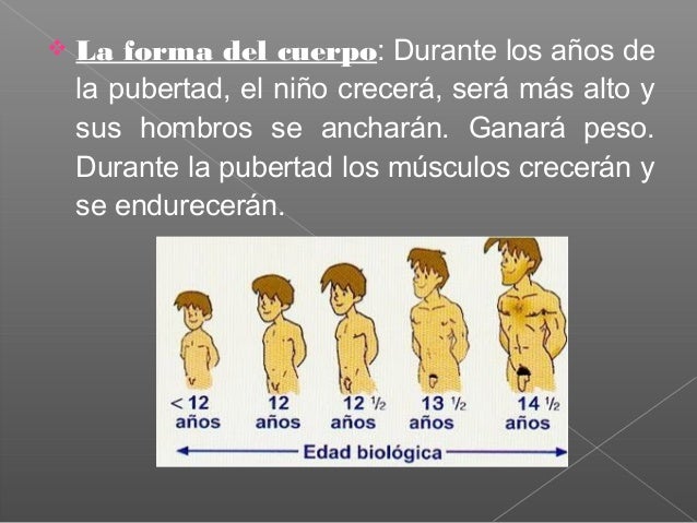 La Pubertad por Dayana Lárraga