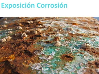 Exposición Corrosión 