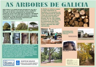 Exposición As árbores de Galicia (Candea) 1-13
