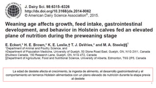 1
La edad de destete afecta el crecimiento, la ingesta de alimento, el desarrollo gastrointestinal y el
comportamiento en terneros Holstein alimentados con un plano elevado de nutrición durante la etapa previa
al destete
 