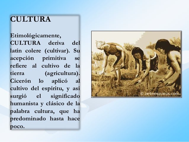 Exposición significado de alimentos en la antropologia