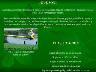 ¿QUE SON? Sustancias químicas destinadas a matar, repeler, atraer, regular o interrumpir el crecimiento de seres vivos considerados plagas. Dentro de la denominación plaga se incluyen insectos, hierbas, pájaros, mamíferos, peces y microbios que compiten con los humanos para conseguir alimento, destruyen las siembras y propagan enfermedades. Los plaguicidas no son necesariamente venenos, pero pueden ser tóxicos. CLASIFICACION Según el destino de su aplicación  Según su acción específica  Según el estado de presentación  Según su constitución química  Según su grado de peligrosidad para las personas  Fig. 3 Riego de plaguicidas sobre un cultivo 