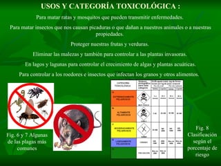 USOS Y CATEGORÍA TOXICOLÓGICA : Para matar ratas y mosquitos que pueden transmitir enfermedades.  Para matar insectos que nos causan picaduras o que dañan a nuestros animales o a nuestras propiedades.  Proteger nuestras frutas y verduras.  Eliminar las malezas y también para controlar a las plantas invasoras.  En lagos y lagunas para controlar el crecimiento de algas y plantas acuáticas. Para controlar a los roedores e insectos que infectan los granos y otros alimentos.  Fig. 6 y 7 Algunas de las plagas más comunes Fig. 8 Clasificación según el porcentaje de riesgo 