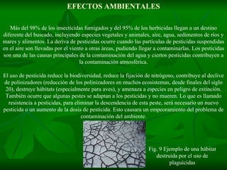EFECTOS AMBIENTALES Más del 98% de los insecticidas fumigados y del 95% de los herbicidas llegan a un destino diferente del buscado, incluyendo especies vegetales y animales, aire, agua, sedimentos de ríos y mares y alimentos. La deriva de pesticidas ocurre cuando las partículas de pesticidas suspendidas en el aire son llevadas por el viento a otras áreas, pudiendo llegar a contaminarlas. Los pesticidas son una de las causas principales de la contaminación del agua y ciertos pesticidas contribuyen a la contaminación atmosférica. El uso de pesticida reduce la biodiversidad, reduce la fijación de nitrógeno, contribuye al declive de polinizadores (reducción de los polinizadores en muchos ecosistemas, desde finales del siglo 20), destruye hábitats (especialmente para aves), y amenaza a especies en peligro de extinción. También ocurre que algunas pestes se adaptan a los pesticidas y no mueren. Lo que es llamado resistencia a pesticidas, para eliminar la descendencia de esta peste, será necesario un nuevo pesticida o un aumento de la dosis de pesticida. Esto causara un empeoramiento del problema de contaminación del ambiente. Fig. 9 Ejemplo de una hábitat destruida por el uso de plaguicidas 