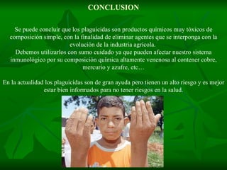CONCLUSION Se puede concluir que los plaguicidas son productos químicos muy tóxicos de composición simple, con la finalidad de eliminar agentes que se interponga con la evolución de la industria agrícola.  Debemos utilizarlos con sumo cuidado ya que pueden afectar nuestro sistema inmunológico por su composición química altamente venenosa al contener cobre, mercurio y azufre, etc… En la actualidad los plaguicidas son de gran ayuda pero tienen un alto riesgo y es mejor estar bien informados para no tener riesgos en la salud. 