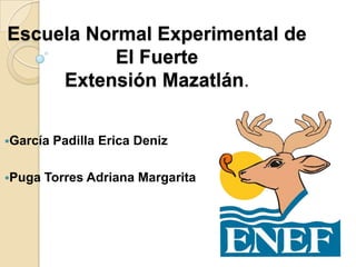 Escuela Normal Experimental de
El Fuerte
Extensión Mazatlán.
Alumnas:
García Padilla Erica Deniz
Puga Torres Adriana Margarita
 