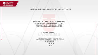 APLICACIONES GENERALES DE LAS MATRICES
BARRIOS PALACIO YURI ALEJANDRA
CASTAÑEDA CRUZ MARÍA PAULA
CAICEDO ROJAS DIEGO JAVIER
ÁLGEBRA LINEAL
ADMINISTRACIÓN FINANCIERA
3 SEMESTRE
TUT N° 4
2022
 