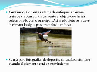  Continuo: Con este sistema de enfoque la cámara
trata de enfocar continuamente el objeto que hayas
seleccionado como principal .Así si el objeto se mueve
la cámara lo sigue para tratarlo de enfocar
 Se usa para fotografías de deporte, naturaleza etc. para
cuando el elemento está en movimiento.
 