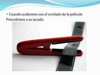  Cuando acabemos con el revelado de la película
Procedemos a su secado.
 