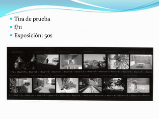 Tira de prueba
 f/11
 Exposición: 50s
 