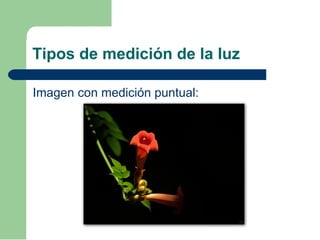 Tipos de medición de la luz
Imagen con medición puntual:
 