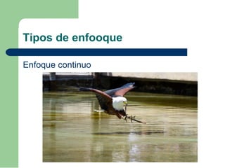 Tipos de enfooque
Enfoque continuo
 