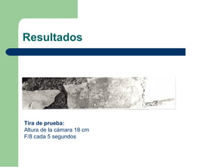 Resultados
Tira de prueba:
Altura de la cámara 18 cm
F/8 cada 5 segundos
 