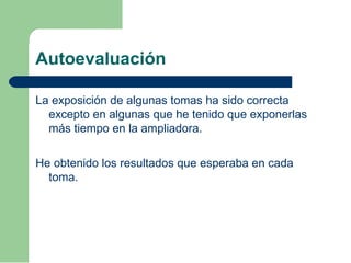 Autoevaluación
La exposición de algunas tomas ha sido correcta
excepto en algunas que he tenido que exponerlas
más tiempo en la ampliadora.
He obtenido los resultados que esperaba en cada
toma.
 