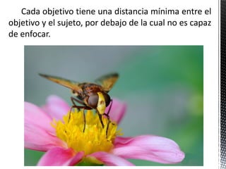 Cada objetivo tiene una distancia mínima entre el
objetivo y el sujeto, por debajo de la cual no es capaz
de enfocar.
 