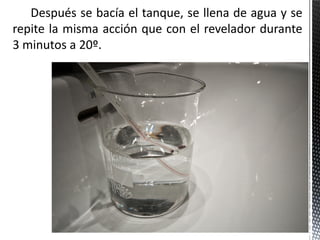 Después se bacía el tanque, se llena de agua y se
repite la misma acción que con el revelador durante
3 minutos a 20º.
 