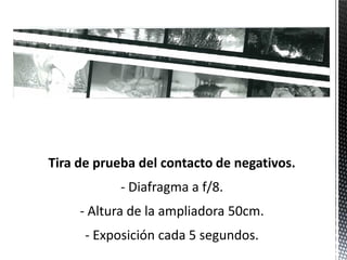 Tira de prueba del contacto de negativos.
           - Diafragma a f/8.
     - Altura de la ampliadora 50cm.
      - Exposición cada 5 segundos.
 