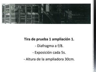 Tira de prueba 1 ampliación 1.
      - Diafragma a f/8.
     - Exposición cada 5s.
- Altura de la ampliadora 30cm.
 