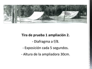 Tira de prueba 1 ampliación 2.
      - Diafragma a f/8.
- Exposición cada 5 segundos.
- Altura de la ampliadora 30cm.
 