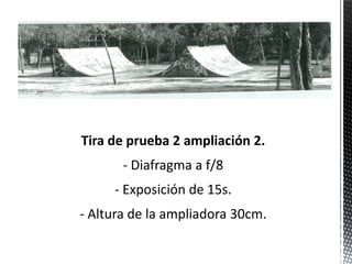 Tira de prueba 2 ampliación 2.
       - Diafragma a f/8
     - Exposición de 15s.
- Altura de la ampliadora 30cm.
 
