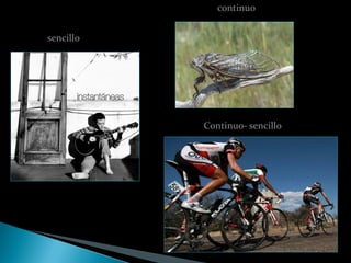 continuo


sencillo




           Continuo- sencillo
 