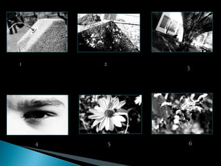 1       2
                3




    4       5   6
 