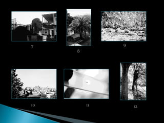 7             9
     8




10       11       12
 