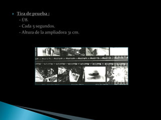    Tira de prueba :
     - f/8.
     - Cada 5 segundos.
     - Altura de la ampliadora 31 cm.
 