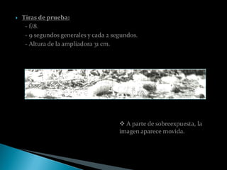    Tiras de prueba:
     - f/8.
     - 9 segundos generales y cada 2 segundos.
     - Altura de la ampliadora 31 cm.




                                        A parte de sobreexpuesta, la
                                       imagen aparece movida.
 