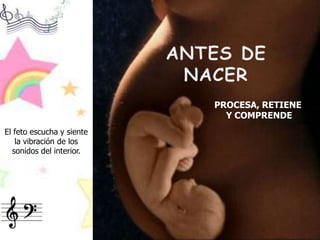 ANTES DE NACERPROCESA, RETIENE Y COMPRENDEEl feto escucha y siente la vibración de los sonidos del interior.
