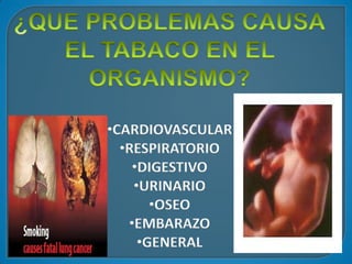 •CARDIOVASCULAR
  •RESPIRATORIO
    •DIGESTIVO
    •URINARIO
       •OSEO
   •EMBARAZO
     •GENERAL
 