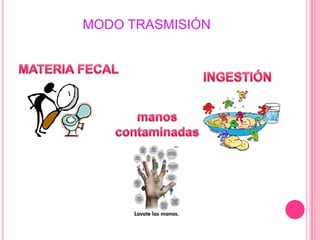 Causa diarreaOtras especies: Da por infección en heridas