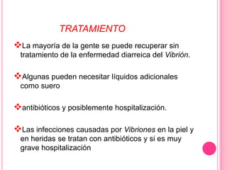 LA ENFERMEDAD GASTROINTESTINAL:CAUSA:DiarreaOCURRE: personas que comen mariscos crudos o a medio cocer que contienen la bacteria o tocar utensilio contaminadoSÍNTOMAS diarrea, cólicos abdominales, náusea, vómito, dolorde cabeza, fiebre y escalofríos