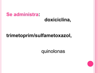 VibriocholeraeAgente causante delcólera.