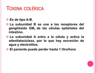 síntomas:Diarrea súbita