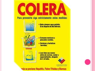 DeshidrataciónDIAGNÓSTICOS PARA ESTAS ENFERMEDADES Tomando muestras de :SangreDe heces 