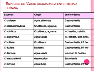 Algunas pueden necesitar líquidos adicionales como suero 