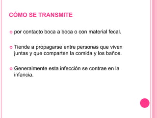 La subunidad B se une a los receptores del gangliósido GM1 de las células epiteliales del intestino.