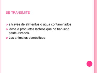 QUÉ ES EL HELICOBACTER PYLORI?Es  una bacteria que infecta la capa mucosa del estómago humano