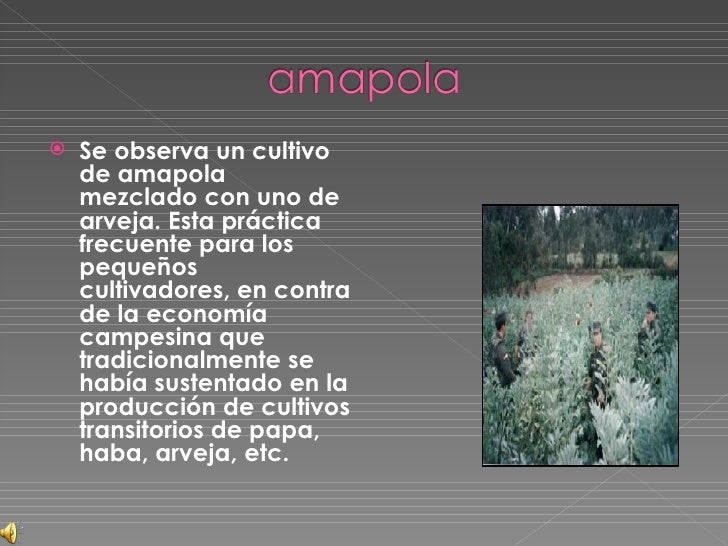 TIPOS DE DROGAS