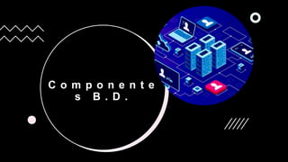 C o m p o n e n t e
s B . D .
 