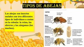 exposicion-1..........................pptx